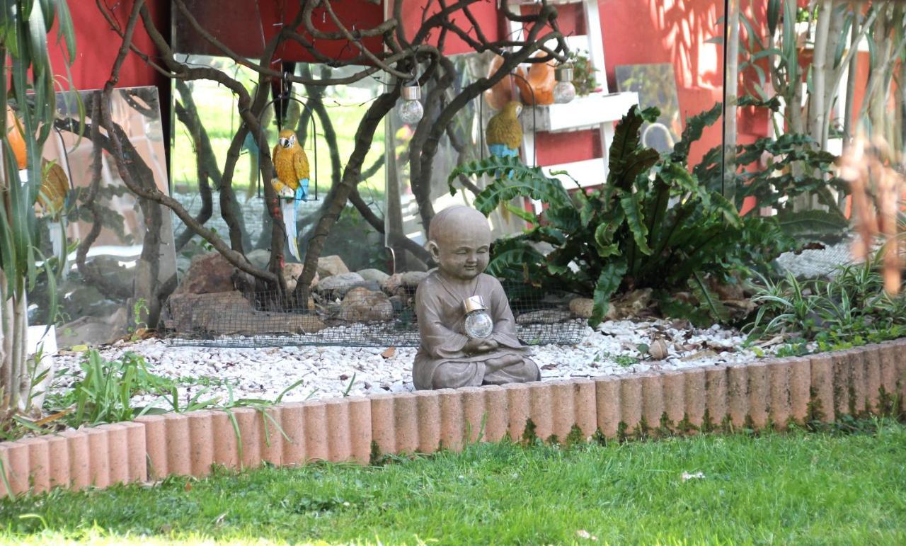 Maison Toulousaine Avec Jardin Toulouse Exteriér fotografie
