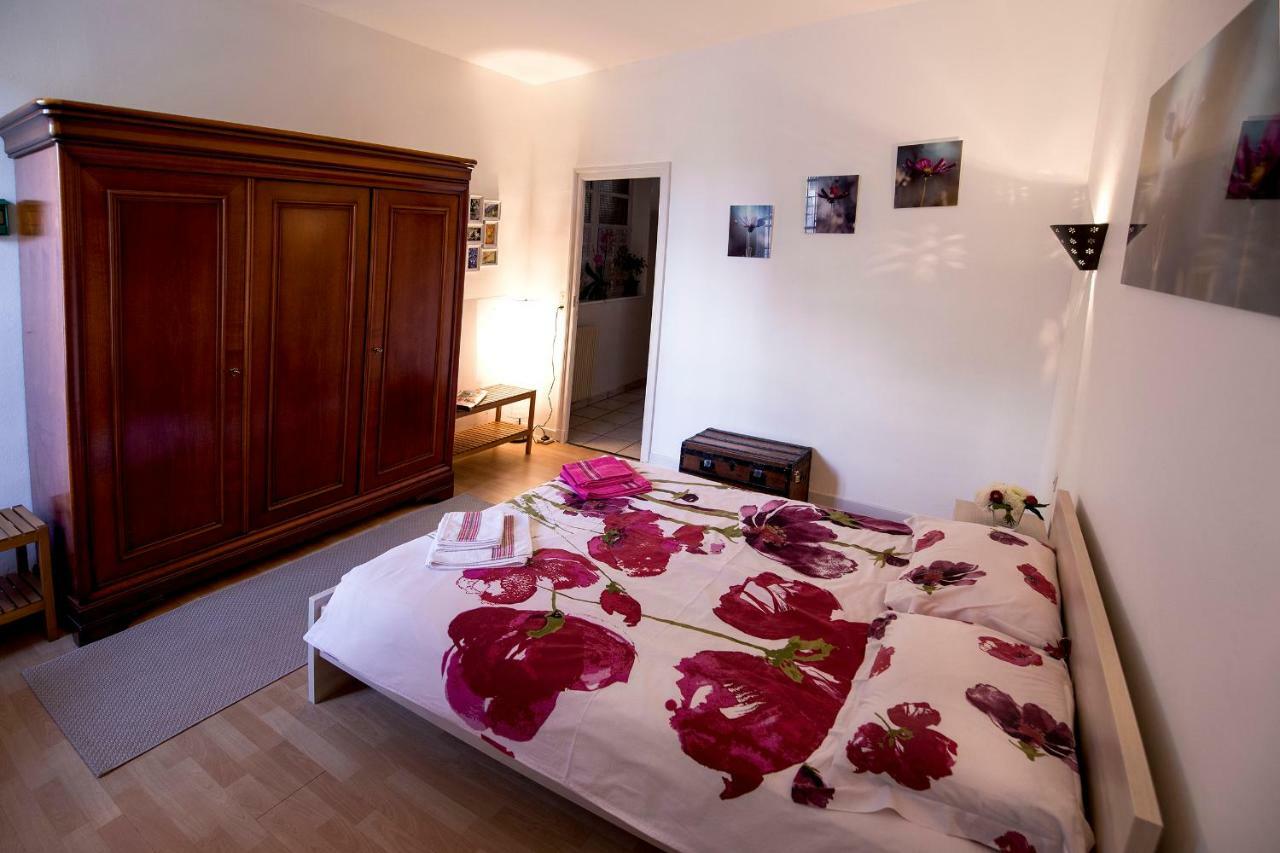 Maison Toulousaine Avec Jardin Toulouse Exteriér fotografie